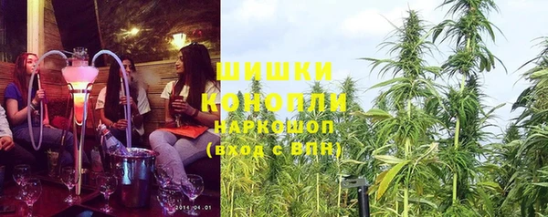 кокс Баксан