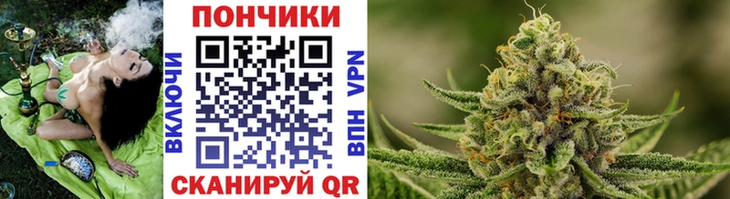 наркота  Шиханы  Канабис гибрид 